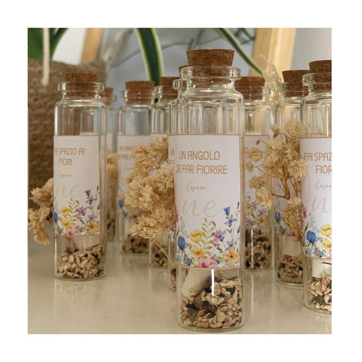 Boccette con semi di fiori