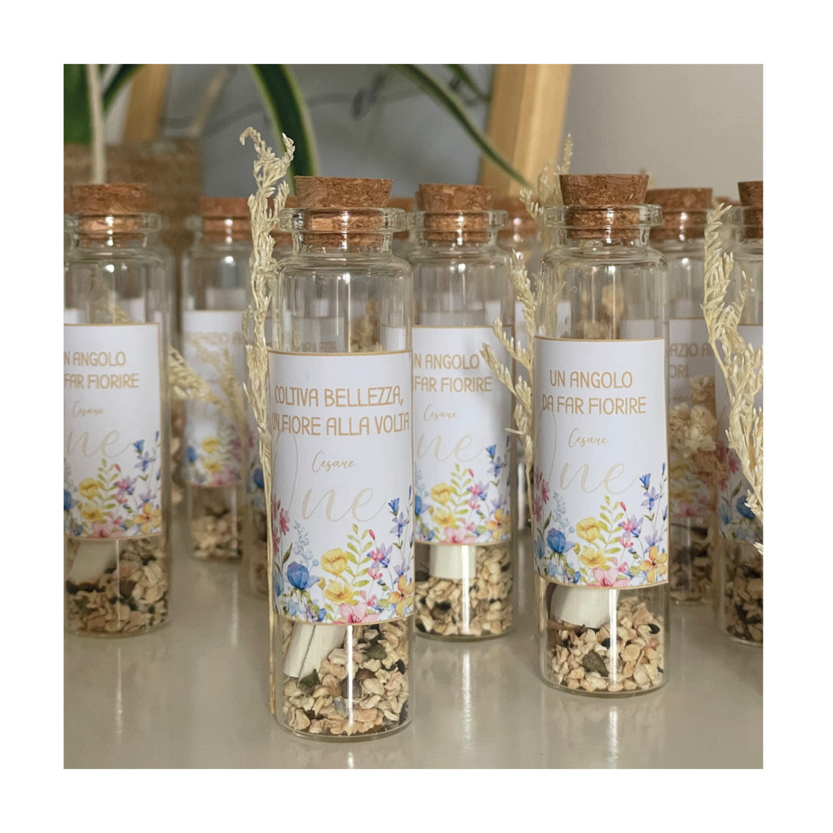 Boccette con semi di fiori